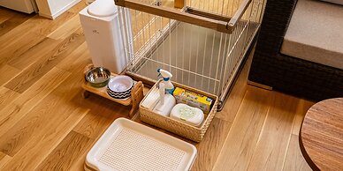 Fuji no Hoshizora FJ Forest