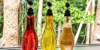 Fuji no Hoshizora FJ Forest