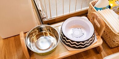 Fuji no Hoshizora FJ Forest