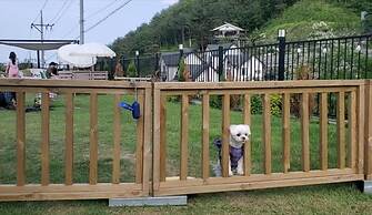 Yangyang Jaeins Garden