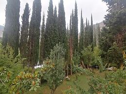 Springfield Resort Gilgit