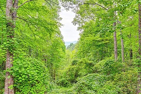 Smoky Mountain Cabin w/ Fire Pit & Stunning Views!