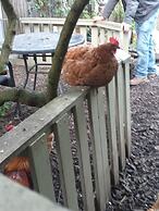 Jesmond Vegan B&B