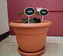 Casa Cafetal Aeropuerto Two Bedrooms