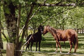 Mariengut - Aparthotel Kramer