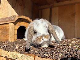 Mariengut - Aparthotel Kramer