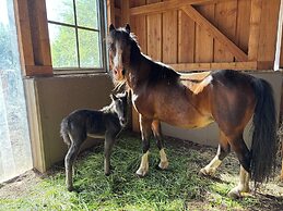 Mariengut - Aparthotel Kramer