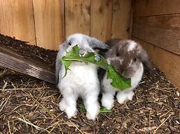 Mariengut - Aparthotel Kramer