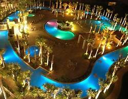 Destin West Bayside Heron 507- A Wave From It All