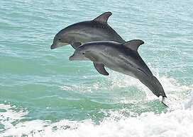 Ariel Dunes II 1807- High Tide