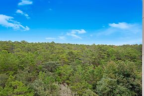 Summit at Tops'l 403