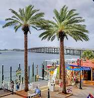 Southbay by the Gulf #122 - Salty Paws