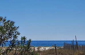 Southbay by the Gulf #122 - Salty Paws