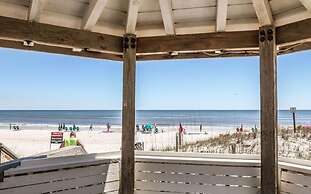 Southbay by the Gulf #122 - Salty Paws