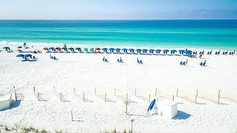 Southbay by the Gulf #122 - Salty Paws