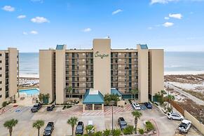 Wind Drift South West 308