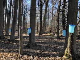 Caledon Manor and Country Inn