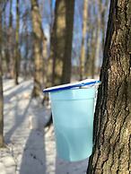 Caledon Manor and Country Inn