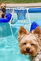 Caledon Manor and Country Inn