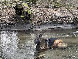 Caledon Manor and Country Inn