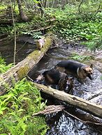 Caledon Manor and Country Inn