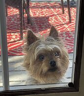 Caledon Manor and Country Inn