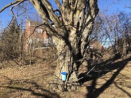 Caledon Manor and Country Inn