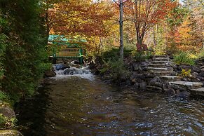 Domaine Riviere Sacacomie