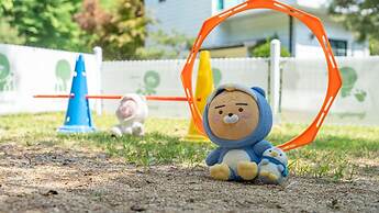 Pocheon Luxjay pet Pension