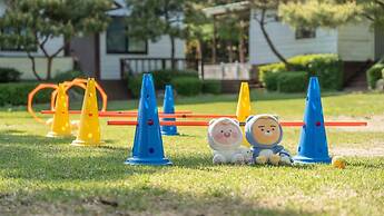 Pocheon Luxjay pet Pension