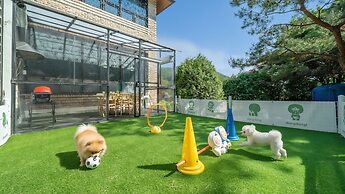 Pocheon Luxjay pet Pension