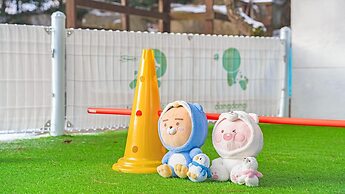 Pocheon Luxjay pet Pension