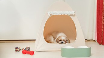 Pocheon Luxjay pet Pension