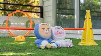 Pocheon Luxjay pet Pension