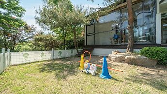 Pocheon Luxjay pet Pension