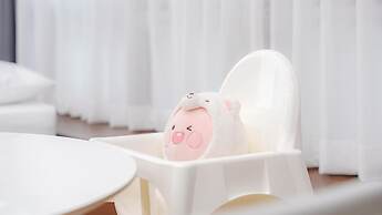 Pocheon Luxjay pet Pension