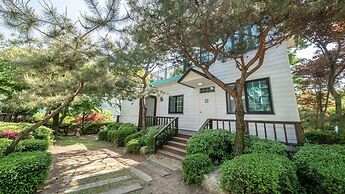 Pocheon Luxjay pet Pension