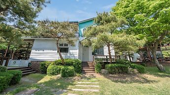 Pocheon Luxjay pet Pension