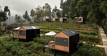 Bobocabin Dieng Wonosobo