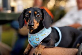 BIG4 Townsville Gateway Holiday Park