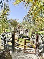 Cloud Cloud Farm Resort