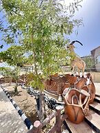 Cloud Cloud Farm Resort