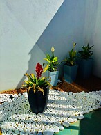 Mountain House hospedagem