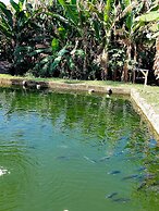 Pousada Sítio Monte Sinai