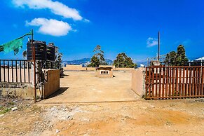 Fabexpress Sparrow Wings