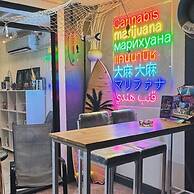 Broccoli candy hotels