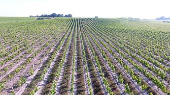 Château Pierre de Montignac