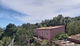 Bela Vista House - Quinta Amoreira