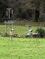 Charming 1-bed Cottage in Liskeard Cornwall