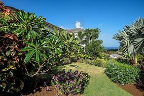 Royal Westmoreland - Elysium 4 Bedroom Villa